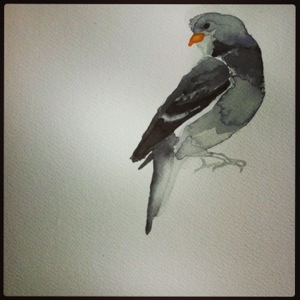 20130606-032150 p.m..jpg