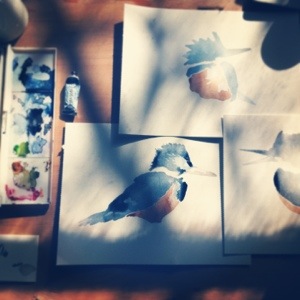 20130721-084233 p.m..jpg