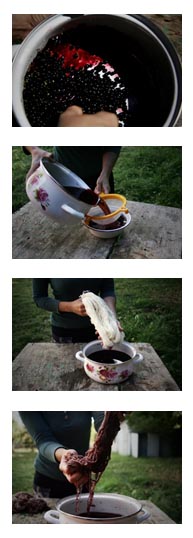 Cerrando una etapa del proyecto