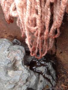 11096419_877540702288533_8859837209023170669_n